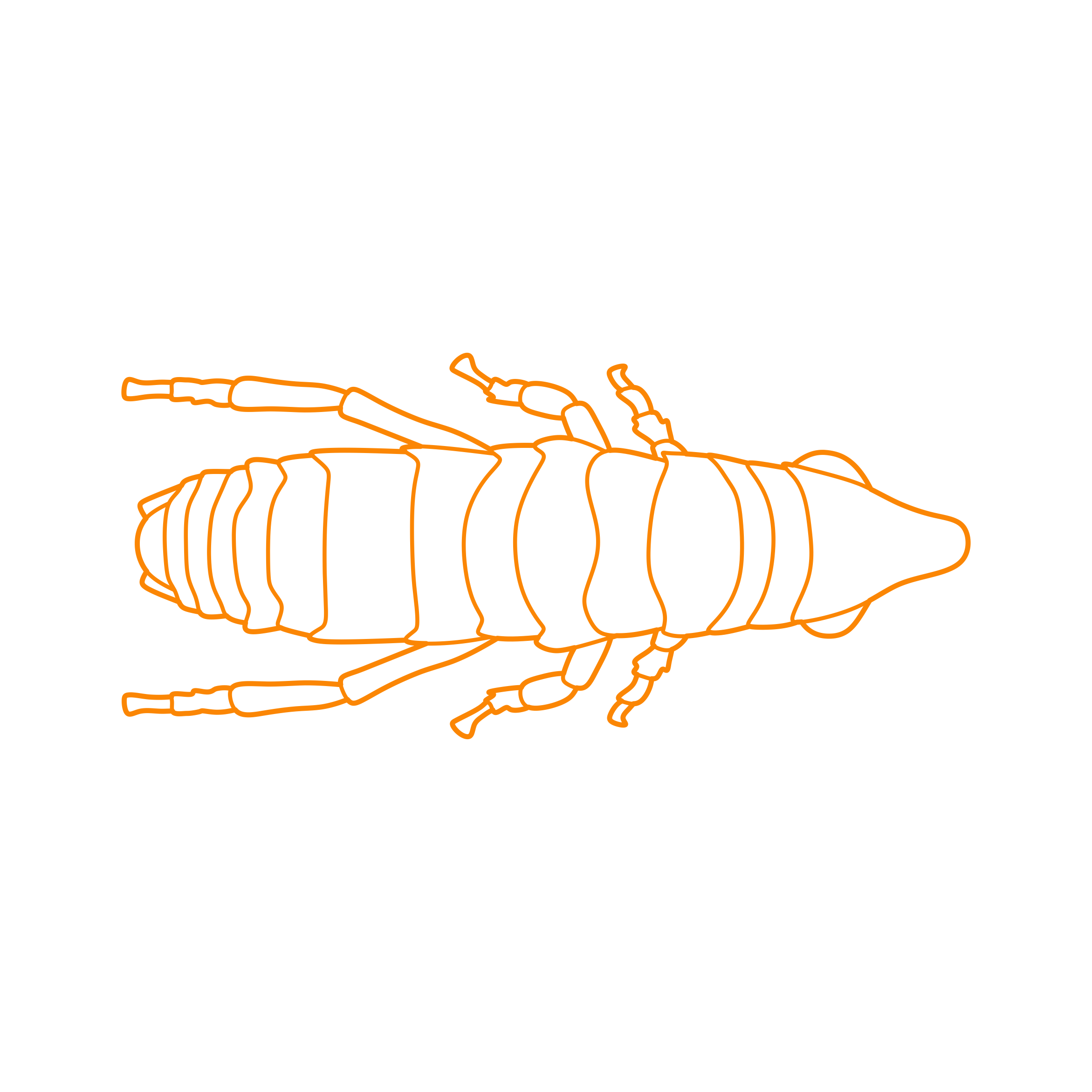 Animals Insects Dog Flea Outline Svg Vector Free Vectors